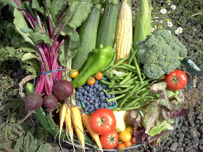 Vegetables in a basket